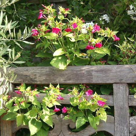 Giverny Cottage 셍-쿨롬 외부 사진